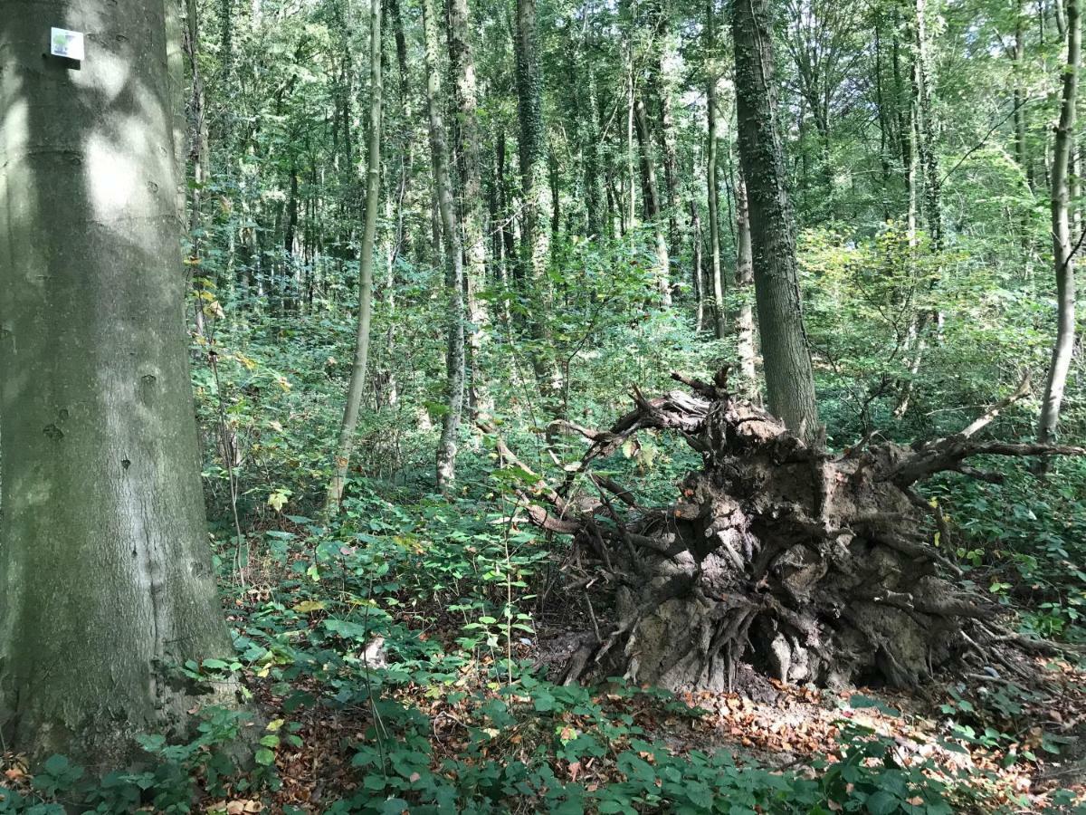 Vakantiewoning Leberg Brakel Dış mekan fotoğraf